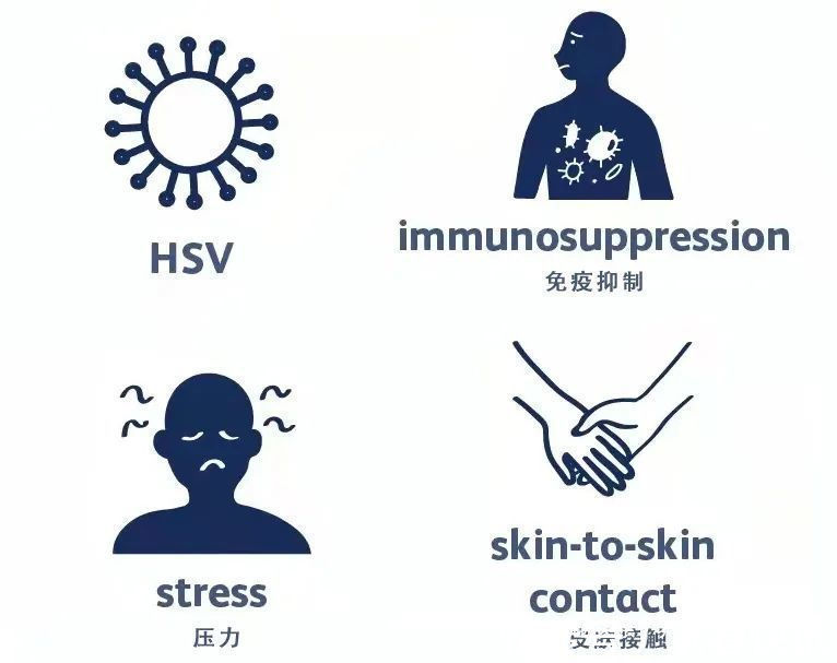 感染|2个月内3名幼童脑死亡！嘴角长这种水泡，真不是“上火”那么简单