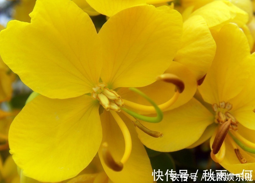 气质|年龄越大,气质越好的3个生肖女,越老越有贵气,福气享受不尽