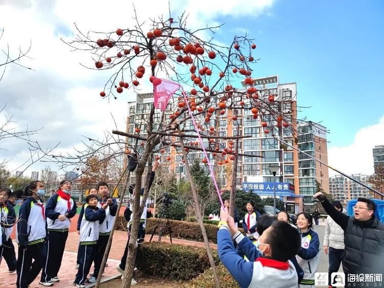 崂山七中|青岛市崂山七中举办柿柿如意采摘节