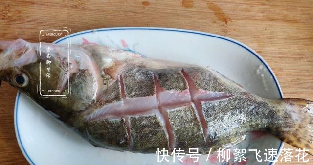 桂鱼|它是淡水鱼中的“极品”,四季都便宜,刺少肉嫩,孩子多吃长身体!