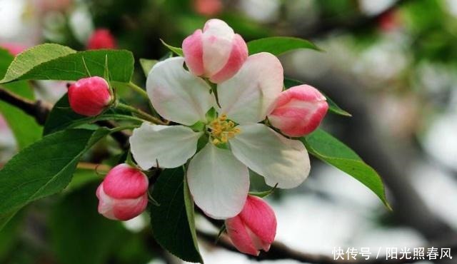 为人处世|真正厉害的人,为人处世,往往能做到这四点!