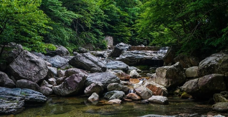 看奇峰怪石都是“三分像，七分想”，大别山腹地的天堂寨恰恰相反