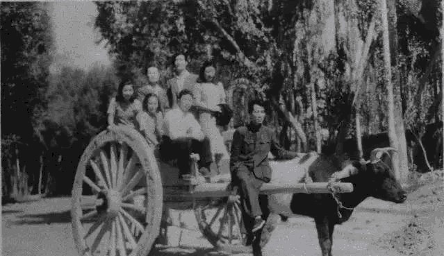 艰辛|八十年代才通电照明,保护敦煌先辈专家学者们付出的艰辛超出想象