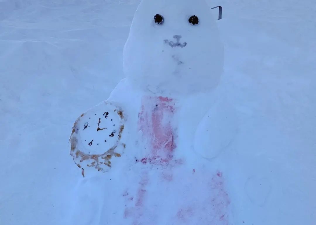 田鹏|女大学生的“雪灯”火了