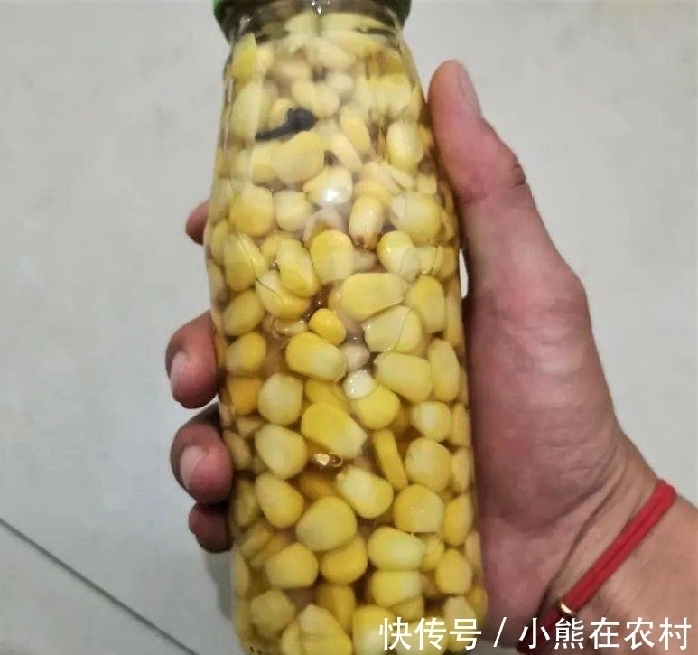 红薯|其实家里也有几种鱼饵,不比商品饵差,上鱼快