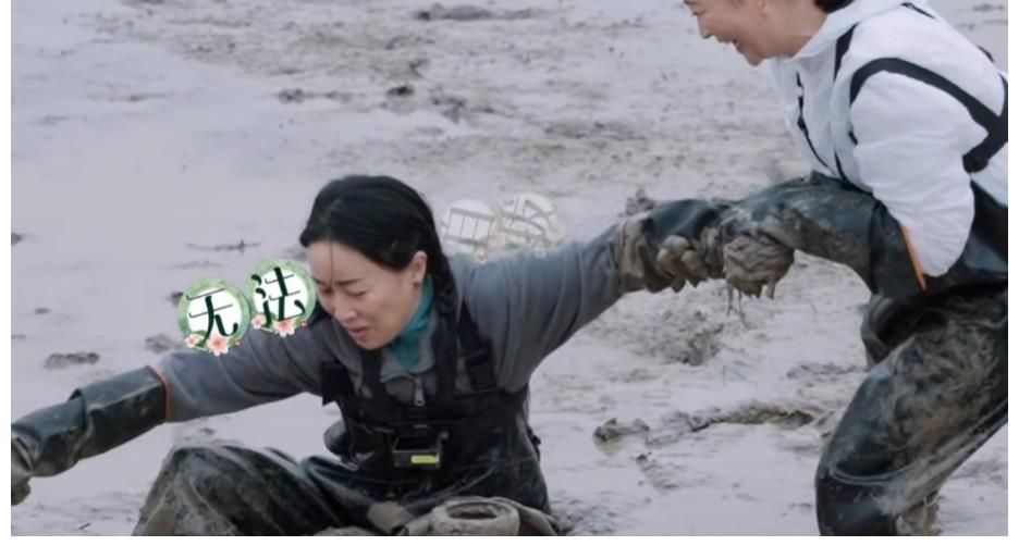 向往5|《向往5》那英与梁静的到来，何炅和黄磊的开心是装不出来的