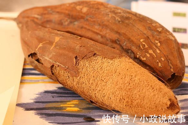 丝瓜瓢|不少人拿丝瓜当洗碗布，却没几个人知道它居然是个“宝”