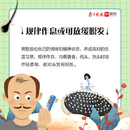 头顶|秃的重灾区从来都是头顶