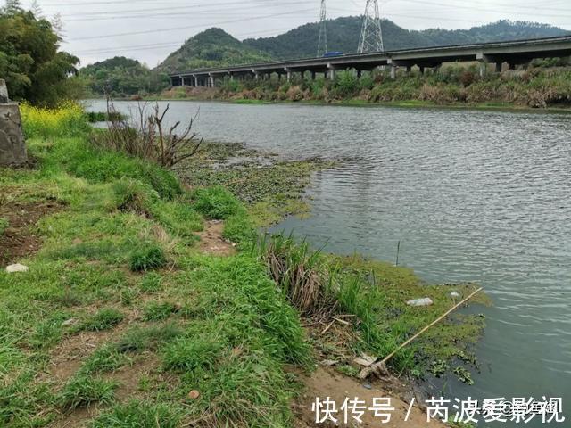 锅底型|一到中午就停口该怎么办?频繁补窝是下策,教你一招打开鱼口