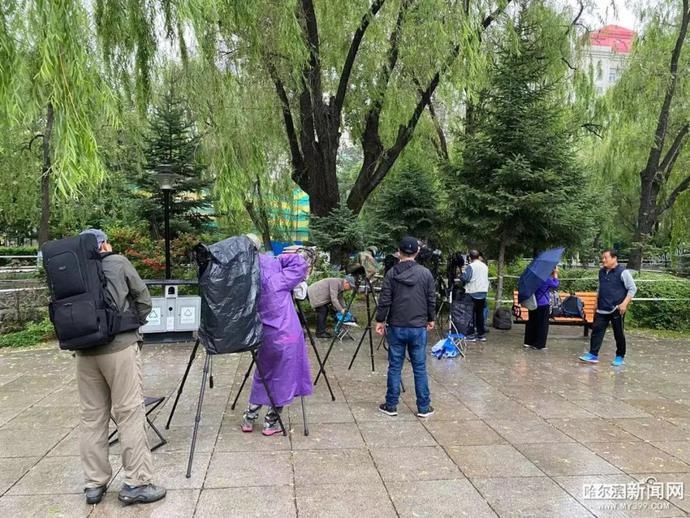 鸳鸯宝宝|19只鸳鸯宝宝雨中跳巢,还有“长辈”来加油|今早的兆麟公园挺热闹