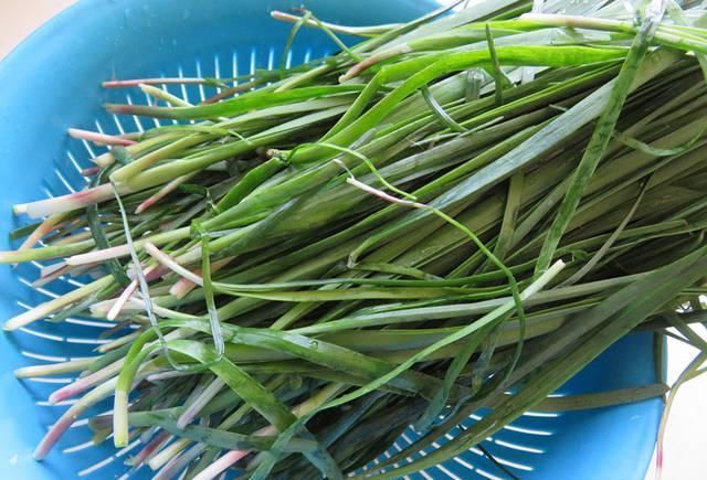 老公调饺子馅,韭菜中加了它,又香还不腻口,我一口气吃30个!