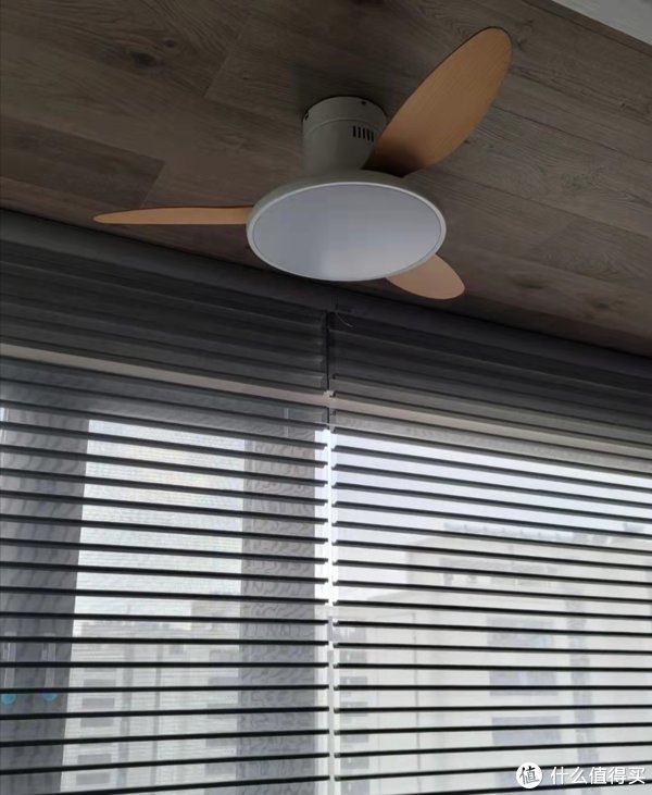 吊扇|媳妇坚持装吊扇灯,花2600元买了4个,还说:家要的就是舒适