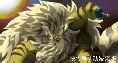 贝波|海贼王: 5只月亮狮子帅气, 佩德罗霸气, 加洛特高冷, 猫蝮蛇肥壮