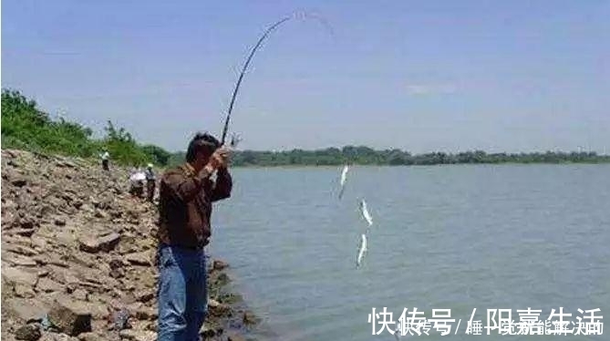 轻巧|冬钓板鲫，手竿不太好用？不妨换上海竿串钩试试，用了一次就过瘾