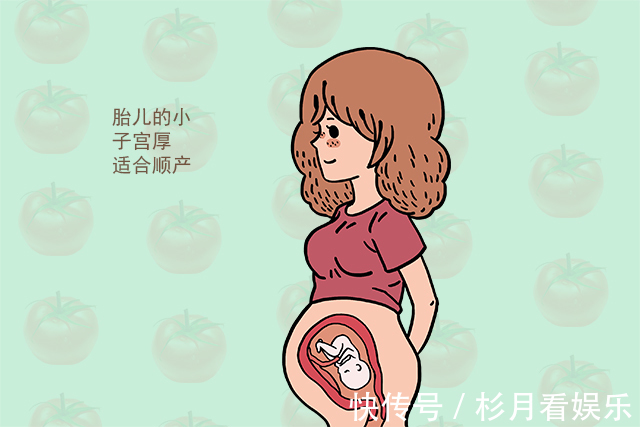 头胎|头胎剖腹产，二胎能顺产吗产科医生孕妇满足这五个条件可以试