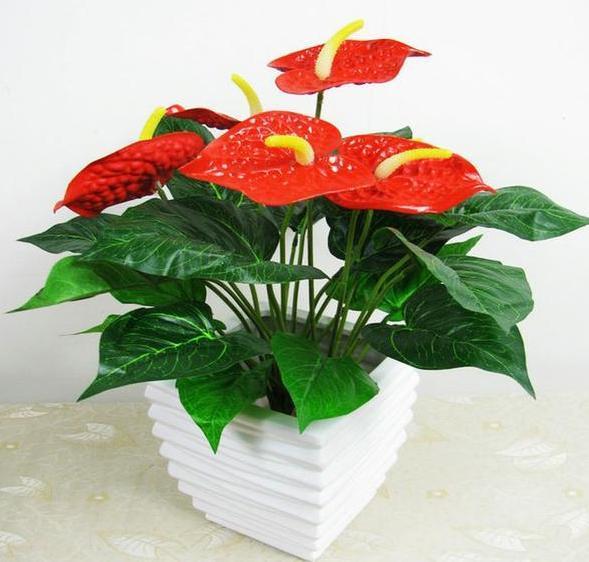 养殖花卉关键得选对花盆错了,会给植物带来3点''致命伤''