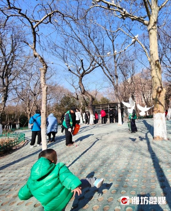 鸽子|网络中国节·春节｜赏风景、喂鸽子……植物园里真热闹