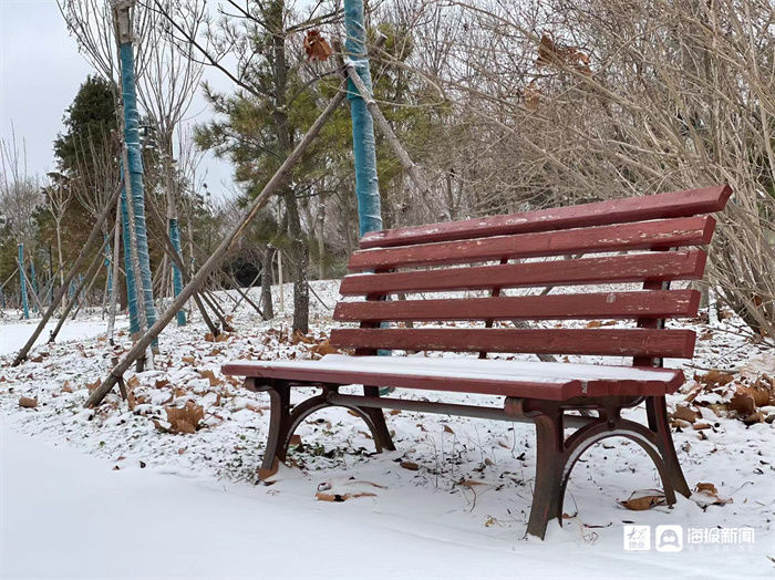 新闻记者|组图｜煮酒温茶，有雪如画 邂逅2021年末这场大雪