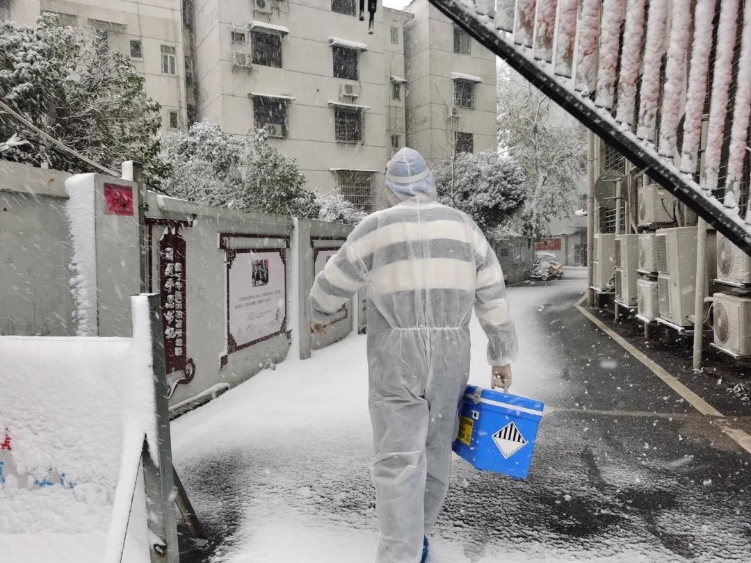 第一场雪|警惕！下雪路滑，骨折伤者增多