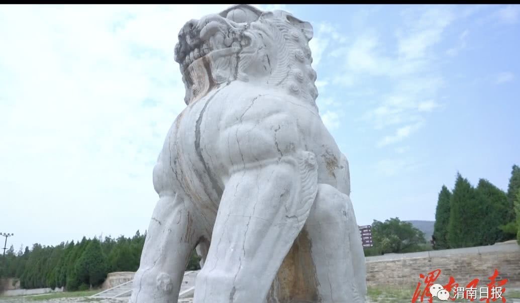 守护者|大唐帝陵的守护者 专属蒲城导游的奇妙十二时辰