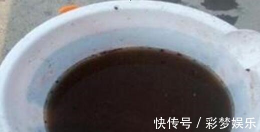 捡来1种土块,碾碎泡水,制成万能肥,养花根壮、花多