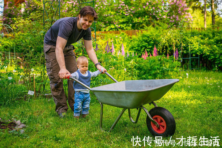 佛罗伊德|三胞胎骑车,用绳子拉玩具车上的爸爸,网友:百公里耗油三瓶奶