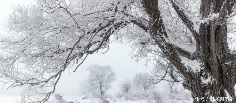 柳宗元@高适的这首《苦雪》,也是可以媲美柳宗元的《江雪》,同样很孤独