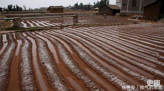 古代没有洗衣粉,古人的衣服为何还能很干净