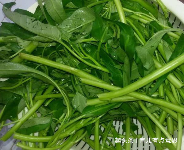 四月少吃肉,多吃它,准时上厕所,促进消化,排出毒素,口臭没了