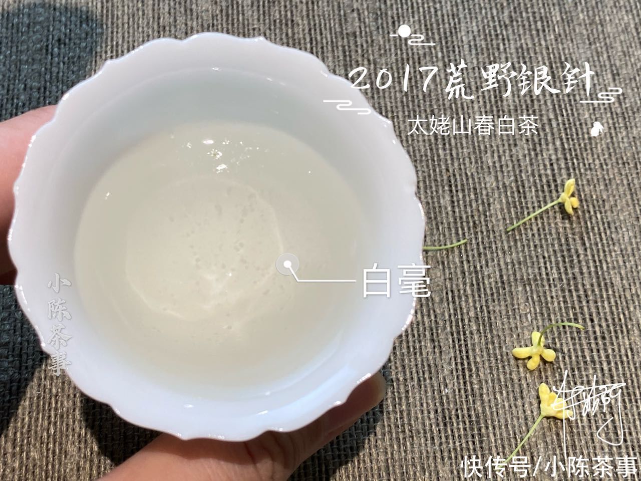 毫香|白毫银针存放多年,毫香会转化成巧克力味,你被这样套路过吗?