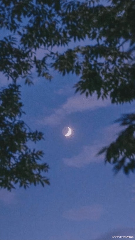 妻妾成群|辛弃疾-能文能武真丈夫,妻妾成群好儿郎(上)