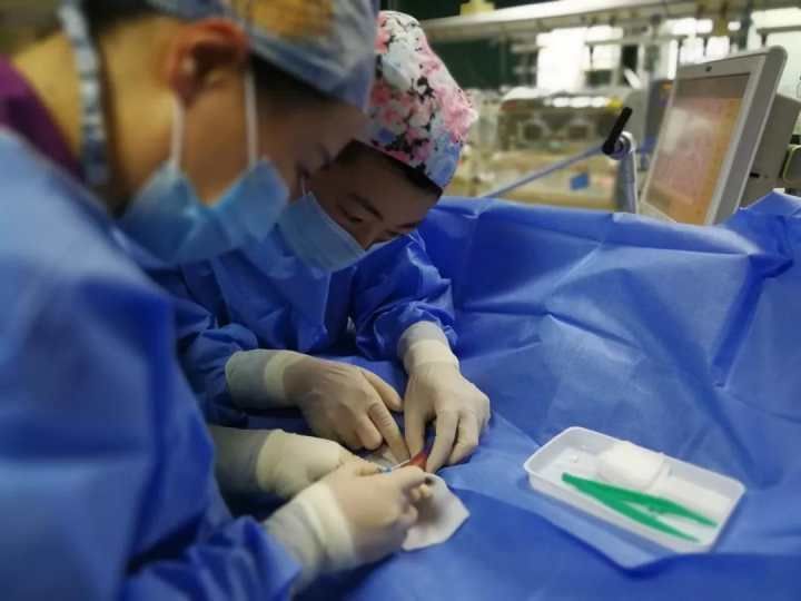 双胎|100多个日夜的精心守护 超早产双胎宝宝闯过生命关卡