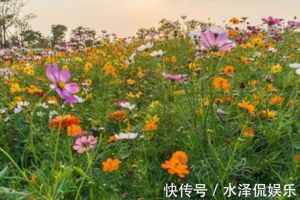 经典!今年最能噎死人的25句经典语录,看似粗糙,却句句现实