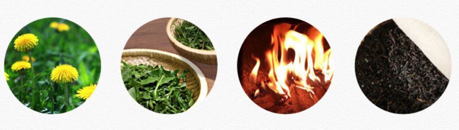 蒲公英|自己“晒干”的蒲公英,能当茶泡水喝吗有什么“禁忌”吗