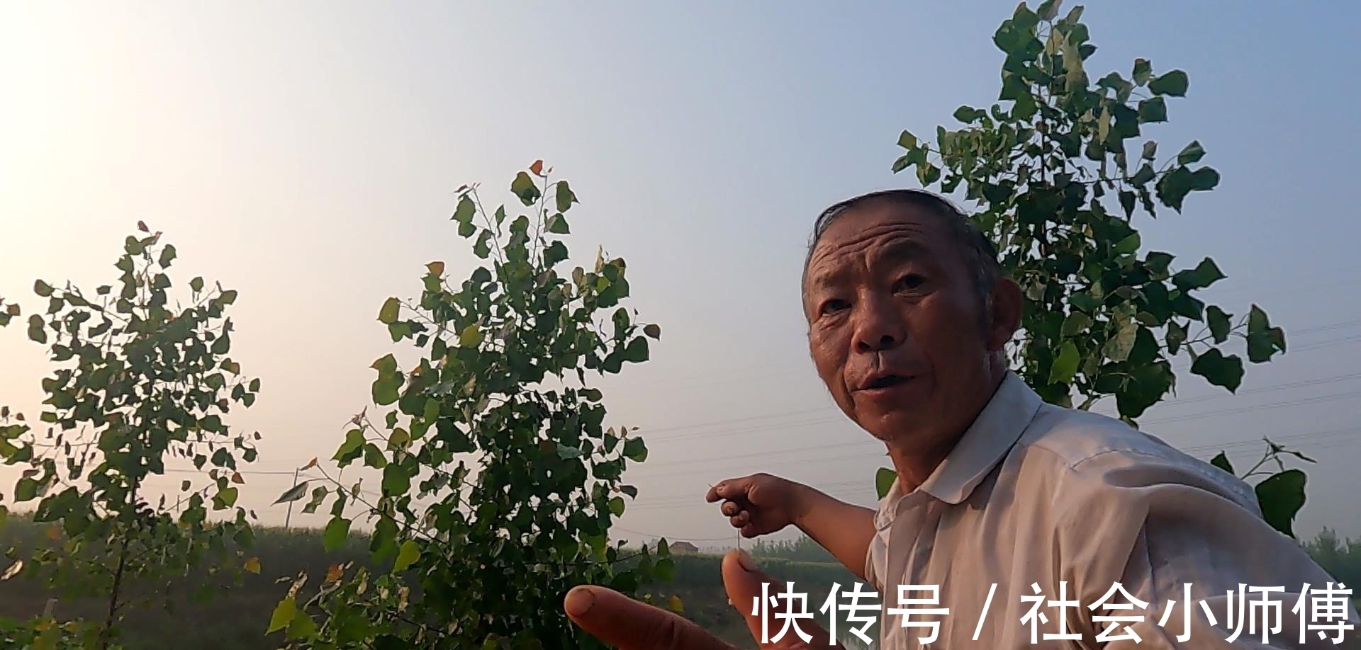 破坏|为了几条便宜鱼，硬生生把自己送进了班房，钓鱼人的天堂遭破坏