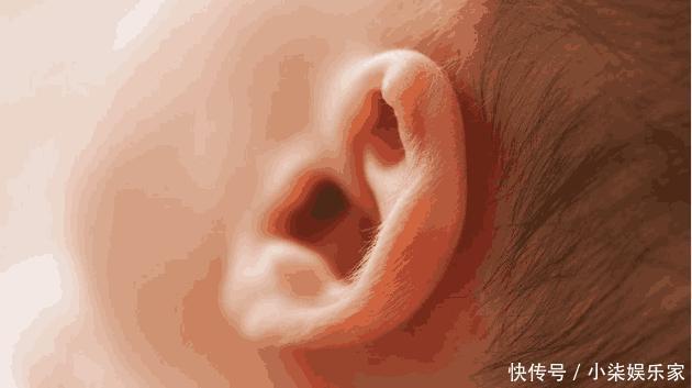 孩子|高智商的孩子都有5种表现,你家孩子若在其中,请好好培养