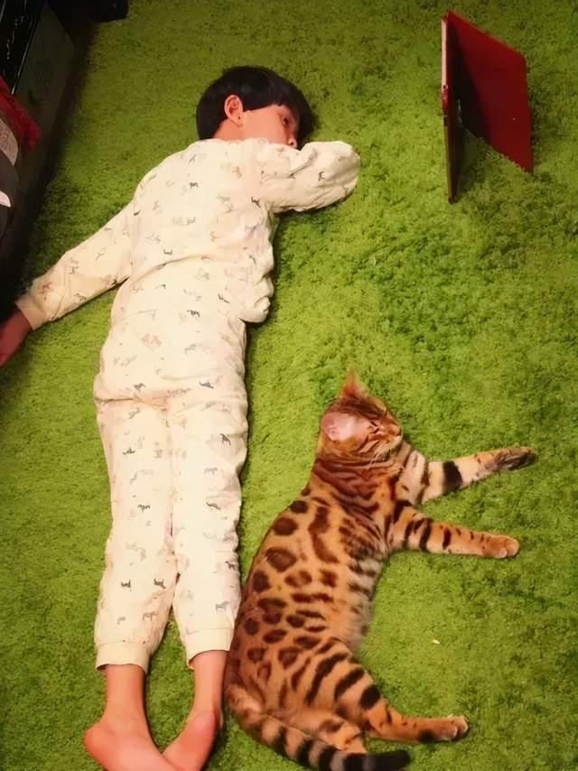 最强大脑 清华毕业不上班,带女儿逃学旅游,王昱珩:“见识”比知识重要