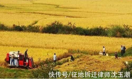 被征收人|蔬菜大棚被征收，能选择产权置换方式予以补偿吗？