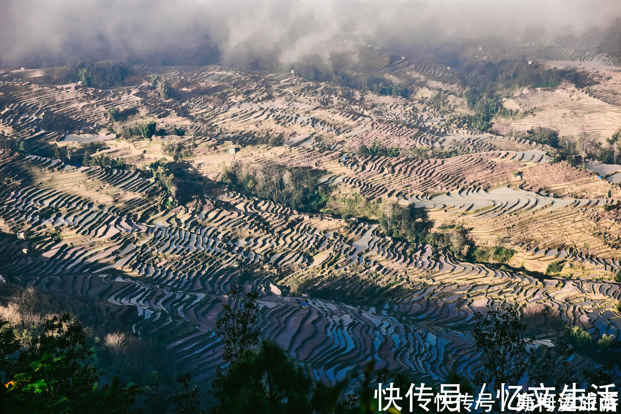 元阳县|中国最大梯田，3700阶梯田像直插云海的天梯，游客：第一次见