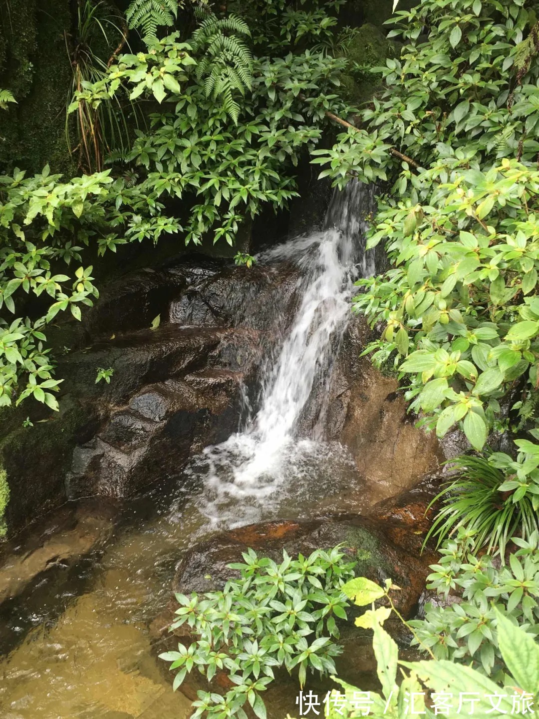 香水湾|媲美巴厘岛，北纬18°绝美海岸线，海南这个宝藏地比三亚人少景美