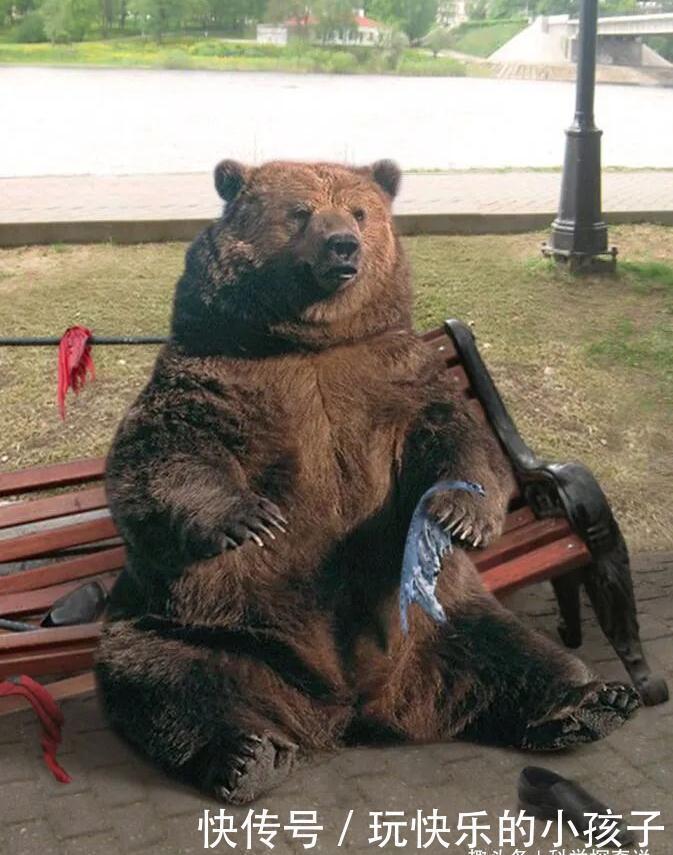 |一组P图高手修出来的搞笑照片,最后那张简直毫无PS痕迹