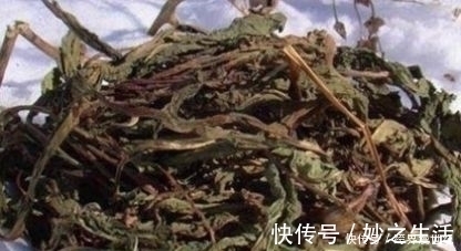 黑芝麻|这种草，确实天然“雄激素”，男人喝一口，年龄越大喝越好