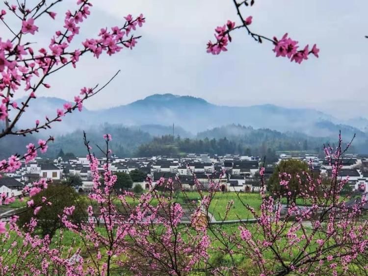 旅游部|浙江余村和安徽西递村入选首批联合国世界旅游组织“最佳旅游乡村”