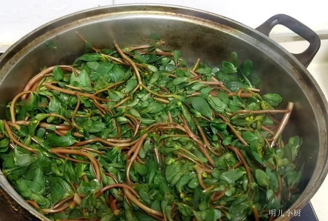 明儿|这野菜是“天然消炎药”，夏天遇到别放过，常吃食疗效果就是好
