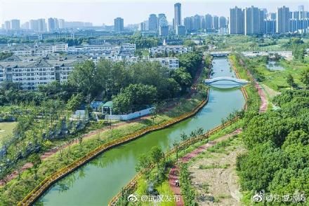 岸绿|武汉湖溪河：水清岸绿 鱼翔浅底