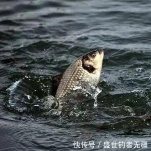 高手教你钓鱼如何找底?学会了就不怕钓不到大鱼了!——盛世三渔