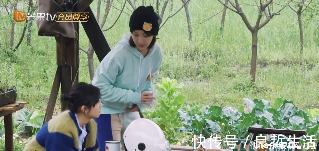 4季最懒客人齐聚《向往5》，黄磊张艺兴各有对策，不愧是狐狸师徒