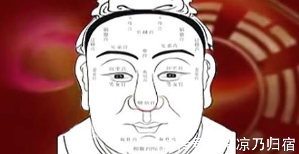 五石散|古人善辩面相,“耳大福寿全,鼻小富贵难”,这又有什么根据?