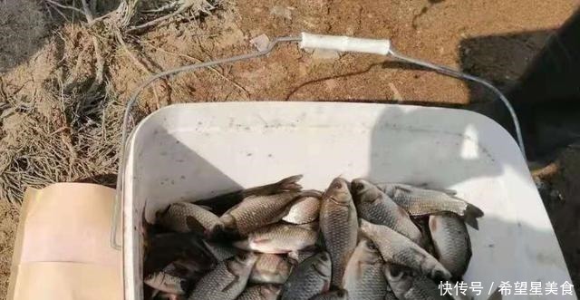 铅坠|这3招果然够狠!杂鱼不闹中鱼率高,用过的人绝非泛泛之辈!