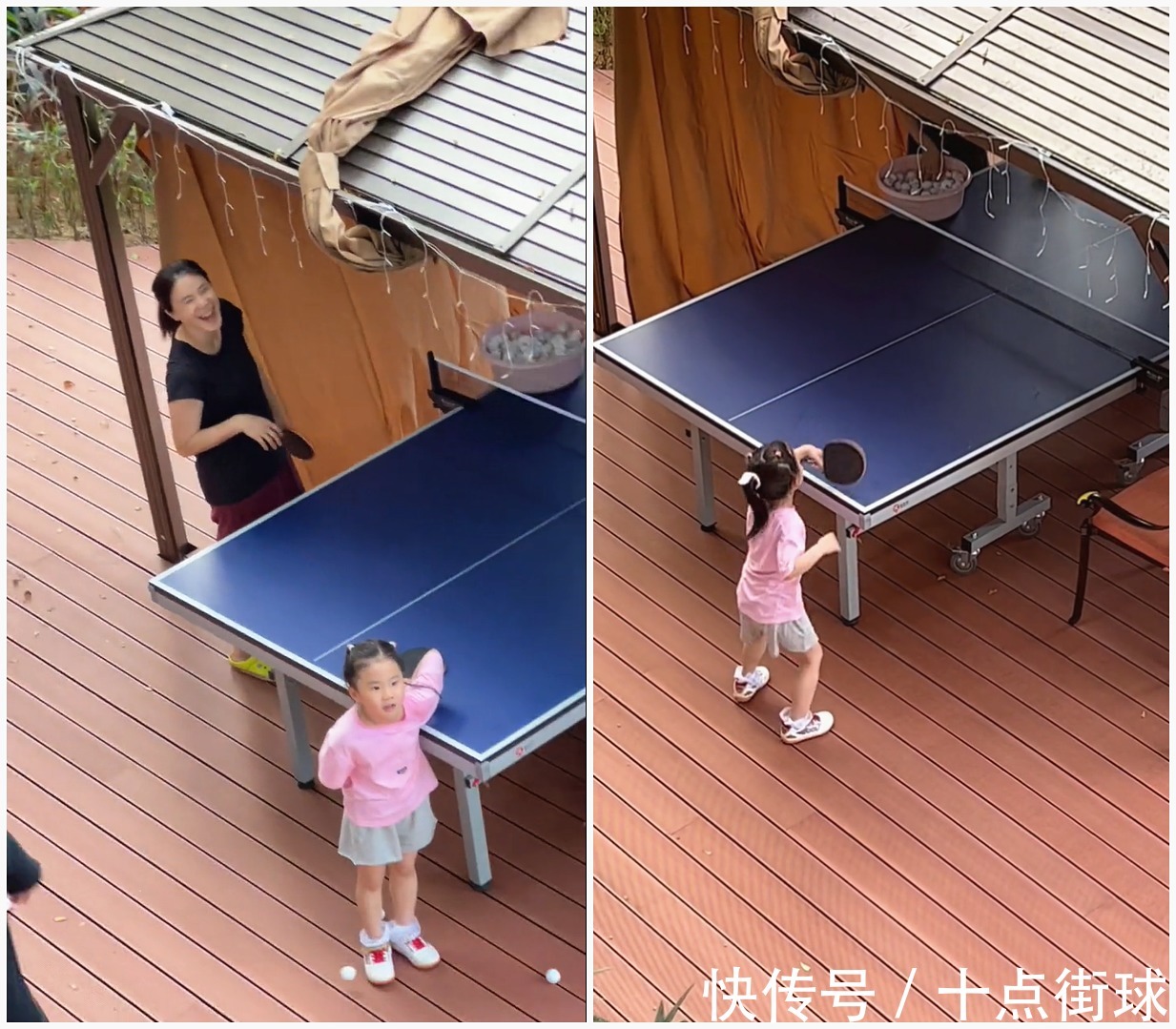 陪练师|王楠全家到海南别墅温暖过年,每天陪女儿练球,竟被嫌弃发球没劲